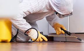 Best Real Estate Pest Inspections  in Higginsville, MO